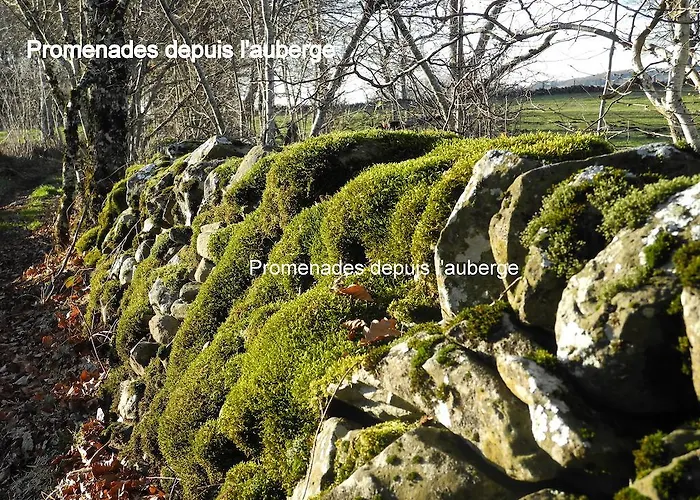 ホテル オテル オーベルジュ ドゥ コンベイール