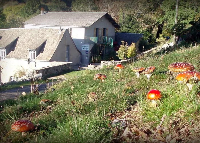 ホテル オテル オーベルジュ ドゥ コンベイール ラギオール