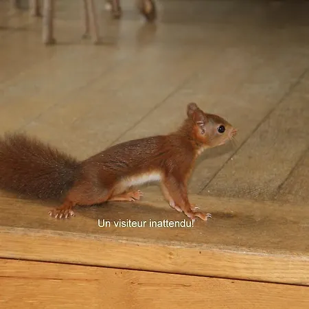 奥伯格杜坎贝尔酒店 *