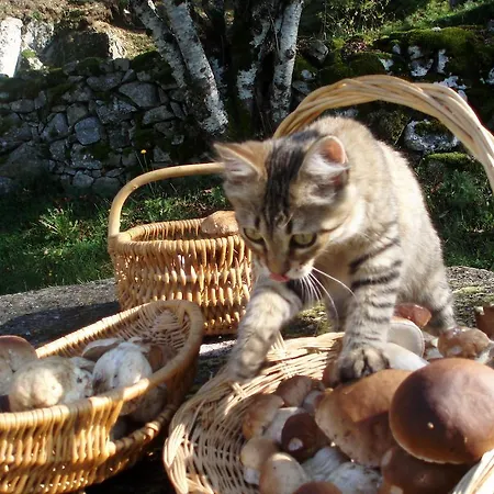 酒店 奥伯格杜坎贝尔酒店 拉吉约勒