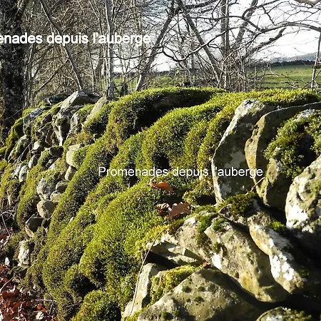 酒店 奥伯格杜坎贝尔酒店